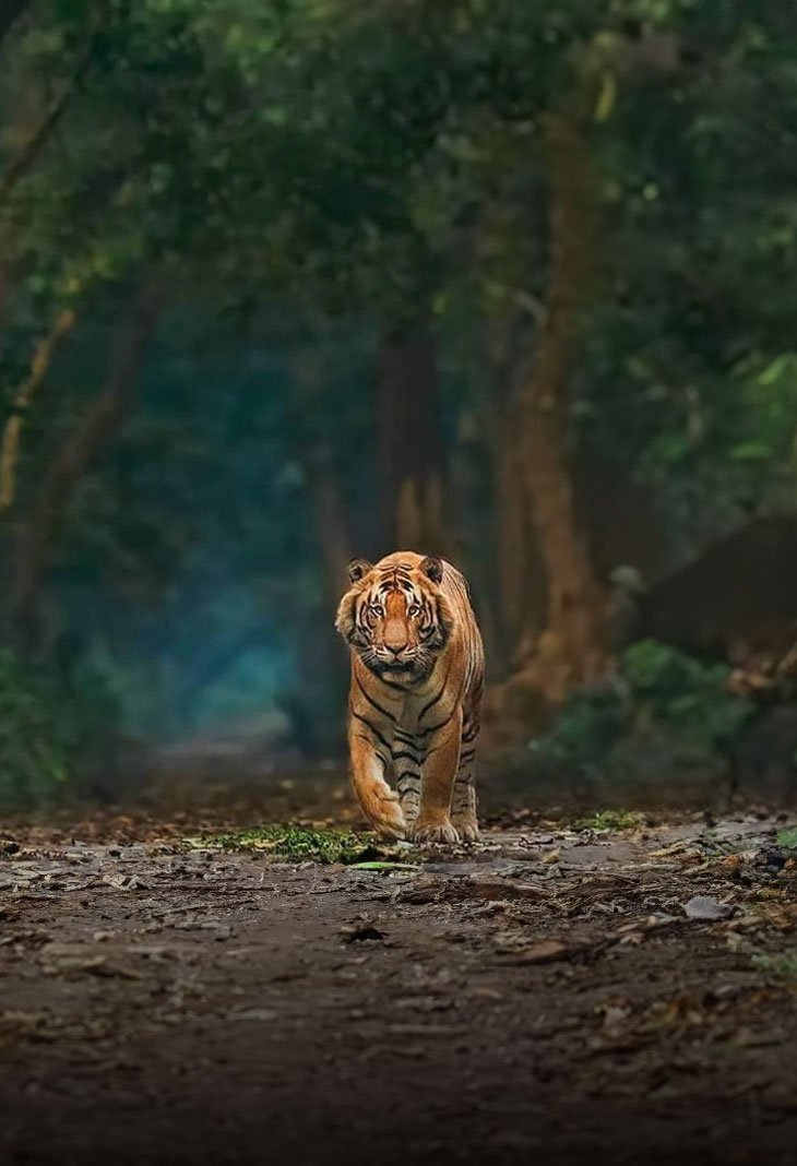 Dudhwa National Park