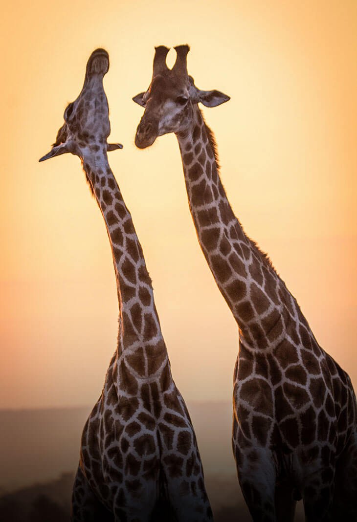 Lake Manyara