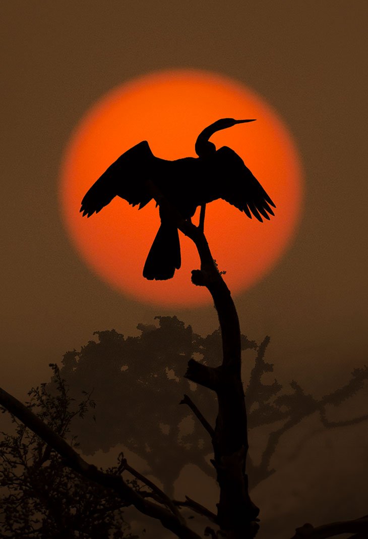 Bharatpur