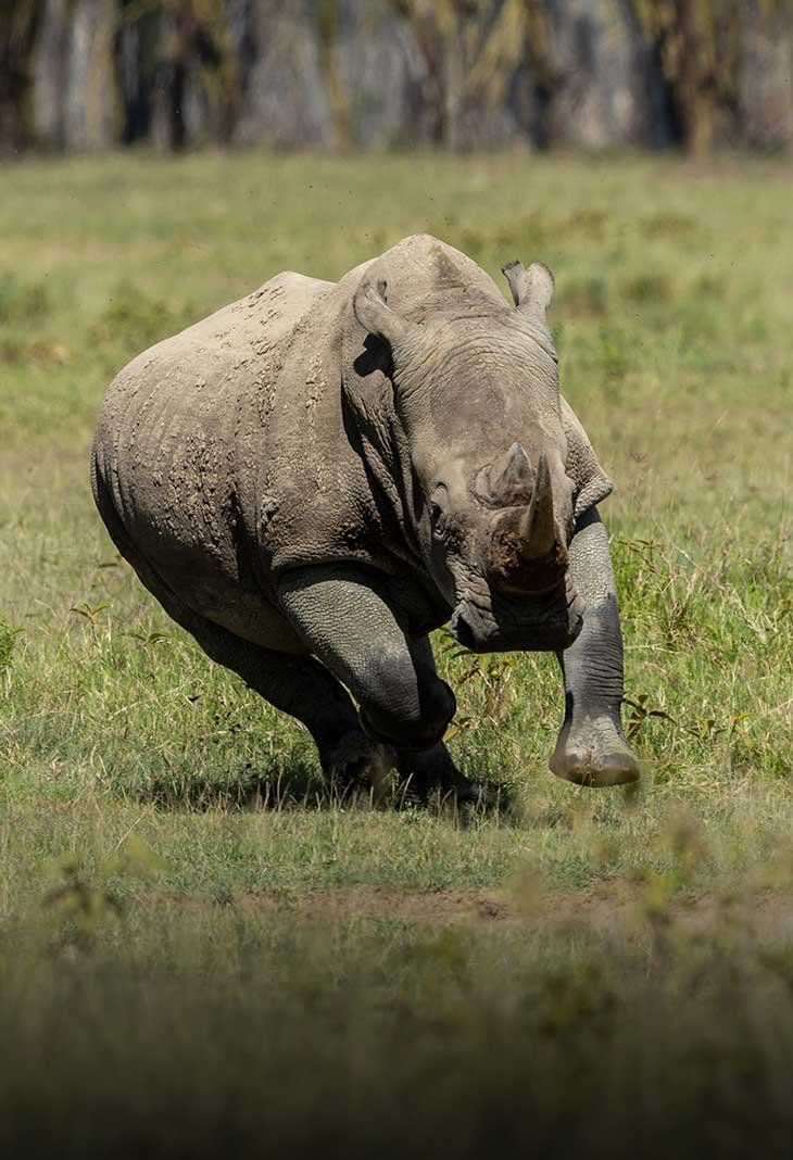 Lake Nakuru