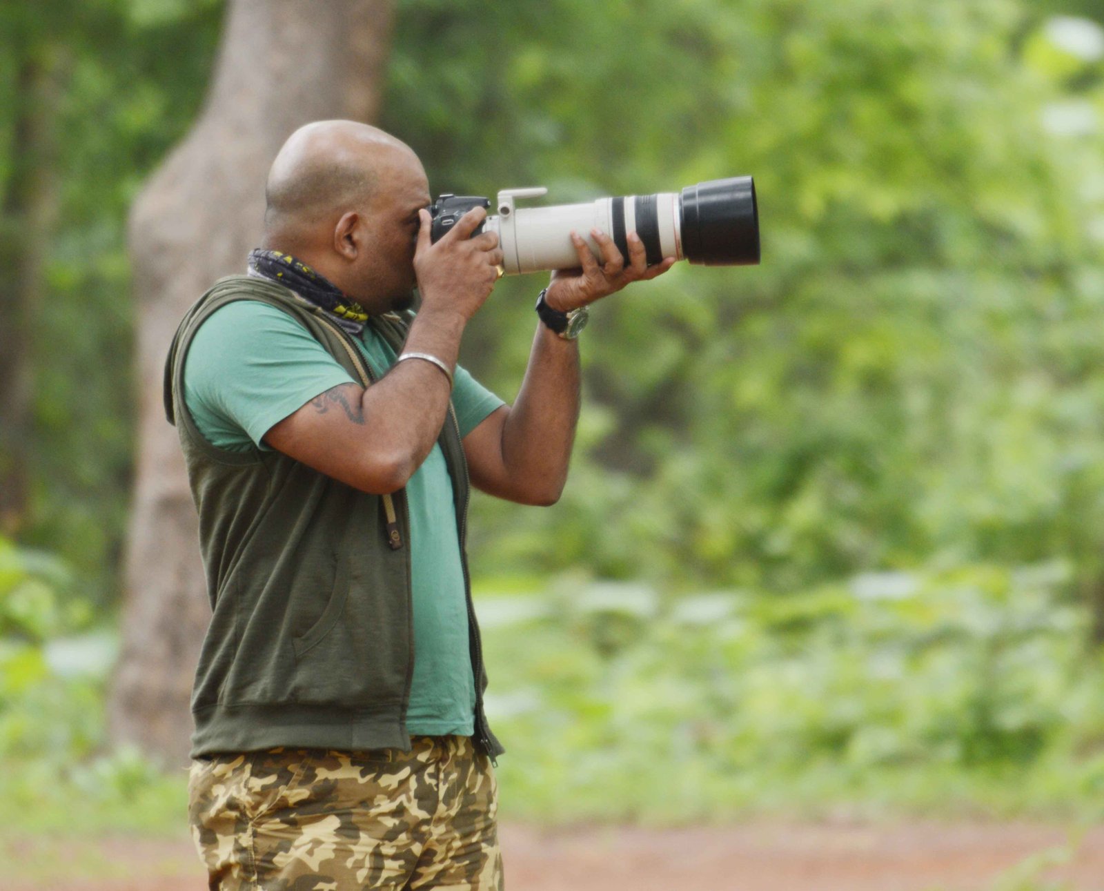 Tadoba National Park