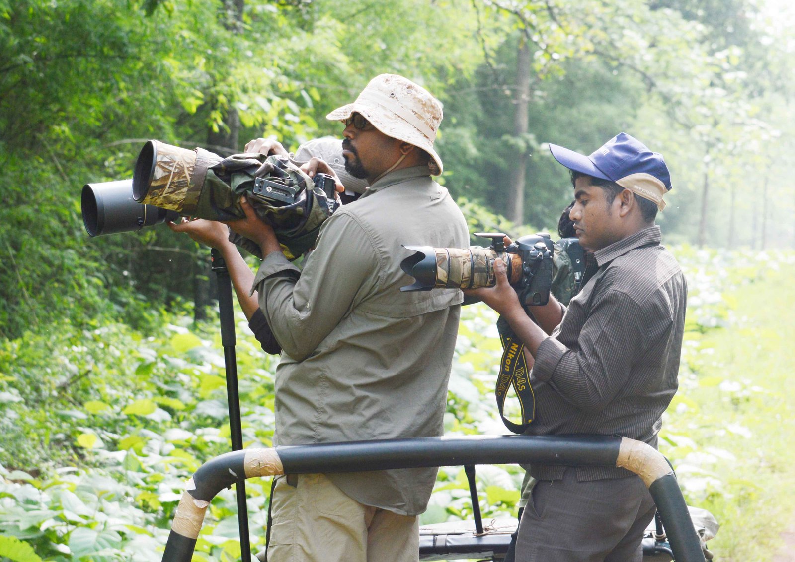 Tadoba National Park