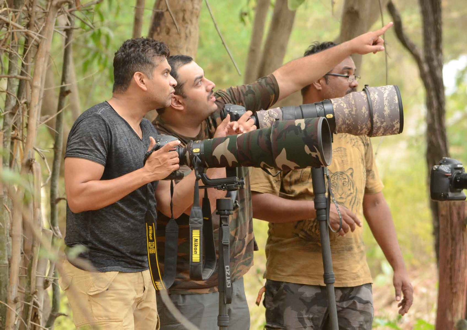 Bandhavgarh