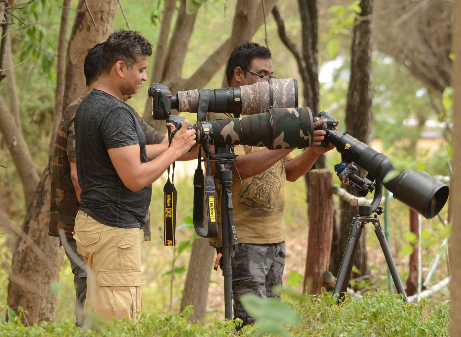 Bandhavgarh