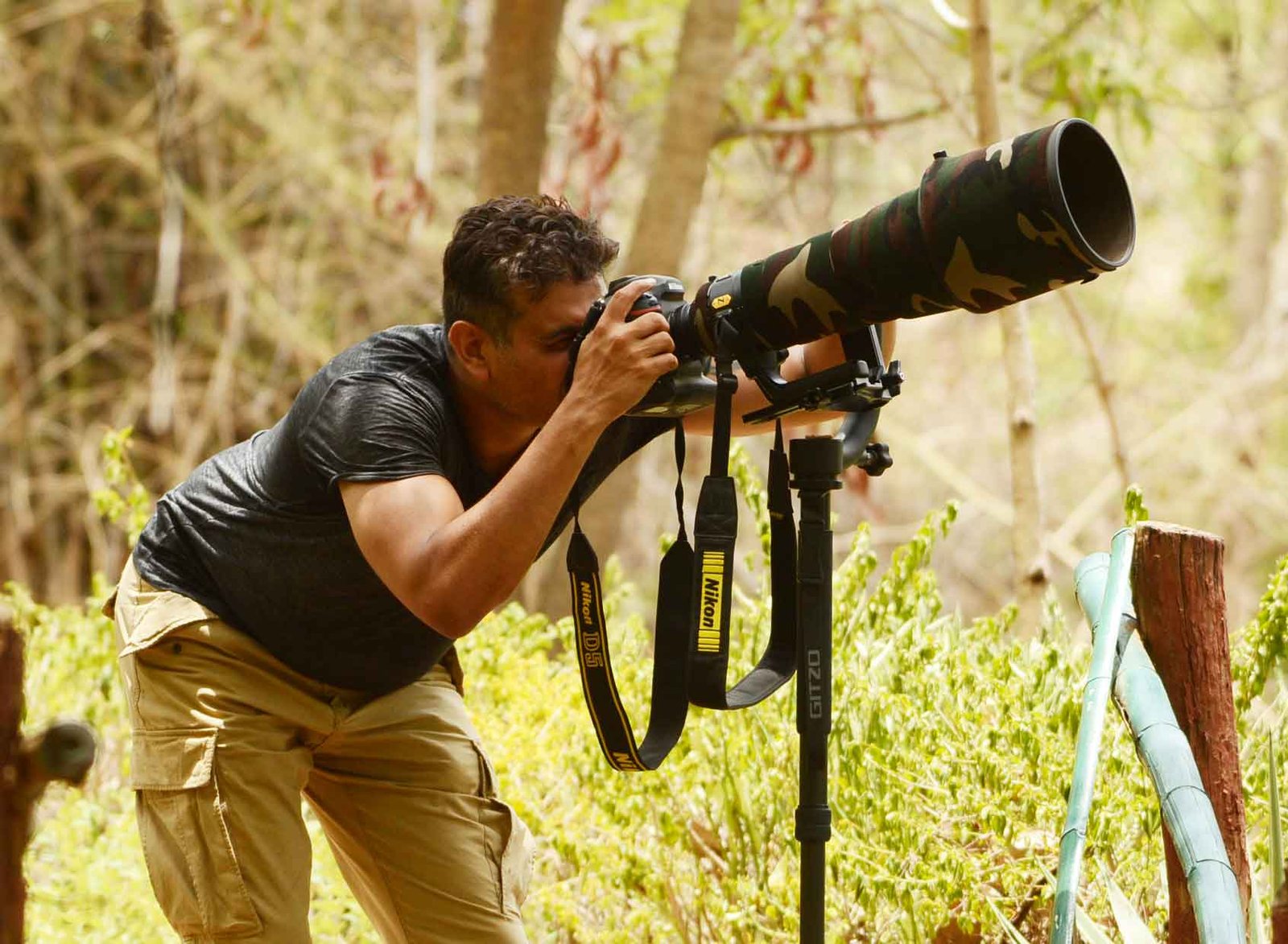 Bandhavgarh